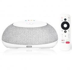 MECOOL KA1 Home Plus Google Assistant Smart Home Controller