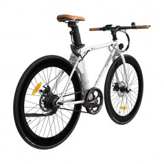 Bezszczotkowy silnik elektryczny roweru FA FREES F1 250 W, biały