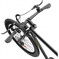 Elektrische fiets FAFREES F1 250W borstelloze motor zwart