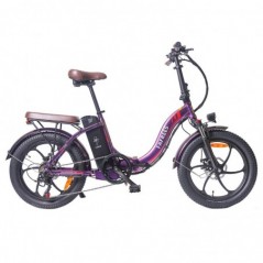 FA FREES F20 Pro Bicicleta Eléctrica 20 Pulgada 25Km/h 36V 18AH 250W - Púrpura