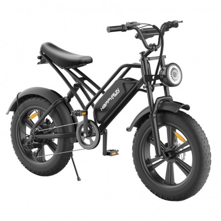 HAPPYRUN HR-G50 Elcykel 20 Tommer 48V 18AH 750W Motor 45Km/t Hastighed