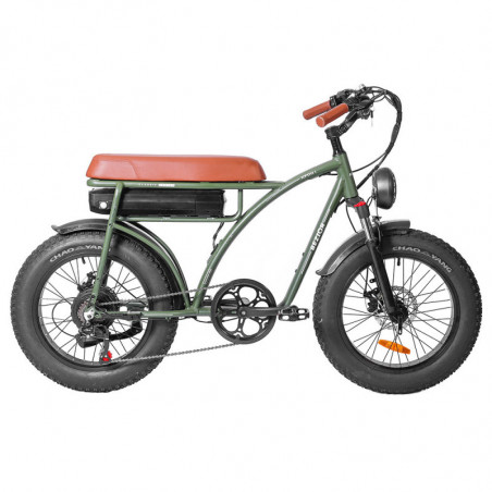 BEZIOR XF001 Vélo Electrique Rétro 1000W 12.5Ah 48V 20 Pouces Vert