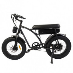 BEZIOR XF001 Bicicleta eléctrica retro 1000W 12.5Ah 48V 20 pulgadas Negro