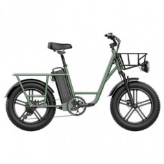 FIIDO T1 Cargo Electric Bike 20 Inch 50Km/h 48V 20AH 750W Motor Green