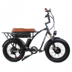 Bicicleta eléctrica GOGOBEST GF750 de 20 pulgadas, 1000 W * 2 motores duales, color negro