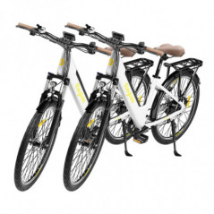 Bicicletta elettrica ELEGLIDE T1 STEP-THRU 2 PEZZI 36V 12,5AH 250W 25Km/h Bianca