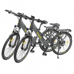 2PCS Eleglide T1 Step-Thru Electric Bike 36V 12.5AH 250W 25Km/h - Gray