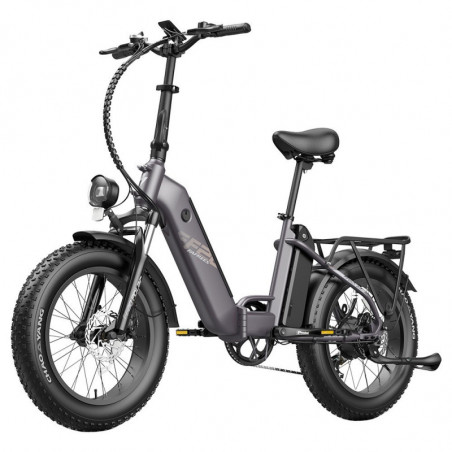 FAREES FF20 Polar E-Bike 40Km/h 500W 48V 10.4AH Doppia batteria Grigio