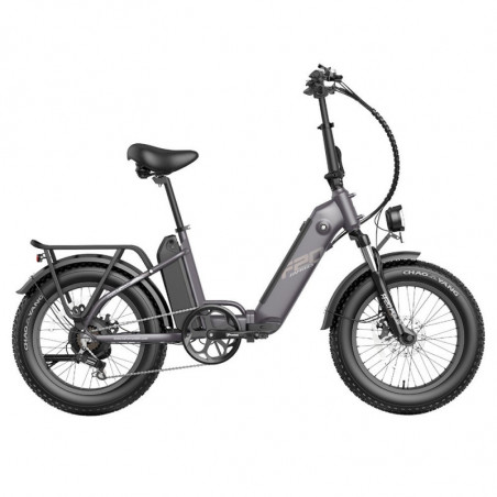 FAFREES FF20 Polar E-Bike 40Km/h 500W 48V 10.4AH Double Batterie Gris