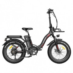Bicicletta elettrica FA FREES F20 Max 20 pollici 25 Km/h 48 V 22,5 Ah 500 W Motore nero