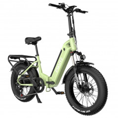 Bicicleta Eléctrica 20 pulgadas ESKUTE Star 48V 25Ah 25km/h 250W Verde