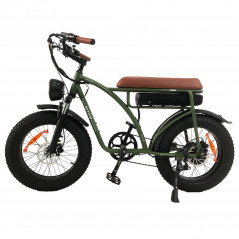 BEZIOR XF001 Plus E-Bike 20in 48V 17,5Ah 45km/h 1000W Motor Army Green