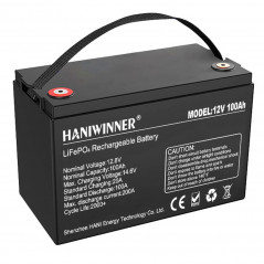 Batteria al litio HANIWINNER HD009-10 12,8 V 100 Ah LiFePO4