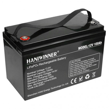 Batteria al litio HANIWINNER HD009-10 12,8 V 100 Ah LiFePO4