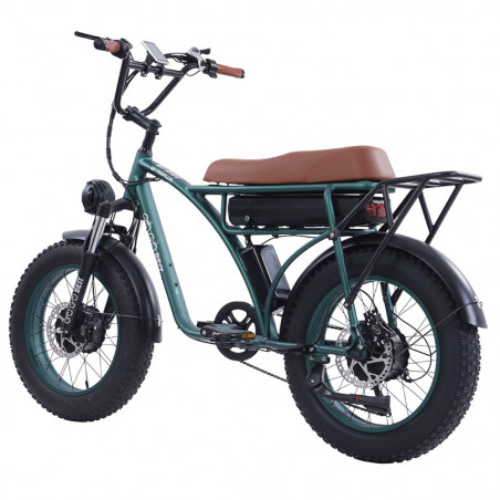 Bicicleta eléctrica GOGOBEST GF750 Plus 20 pulgadas 50 km/h 48 V 17,5 Ah doble motor verde