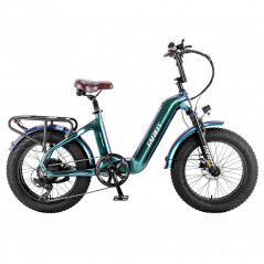 Bicicleta Elétrica FAREES F20 Master E-bike 20*4.0 500W Verde