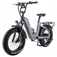 Elektrische fiets FAREES F20 Master E-bike 20*4.0 500W grijs