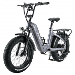 Vélo Électrique FAFREES F20 Master - Gris