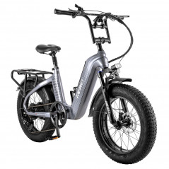 Bicicleta eléctrica FAREES F20 Master E-bike 20*4.0 500W Gris