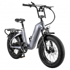 Vélo Électrique FAFREES F20 Master - Gris