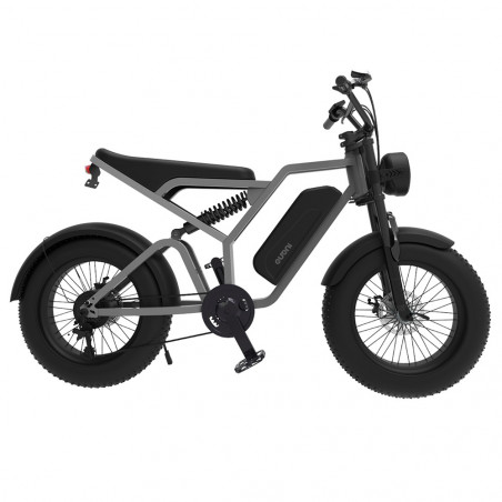 Bicicleta Eléctrica EUENI FXH009 20 pulgadas 750W 48V 15Ah 45km/h Gris