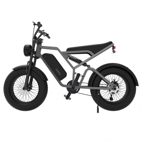 Bicicleta electrica EUENI FXH009 20 inch 750W 48V 15Ah 45km/h Gri