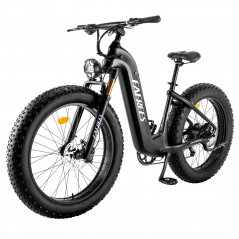 Bicicletta elettrica 26*4.8 pollici FAFREES F26 Carbonio