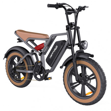 Bicicletta elettrica HAPPYRUN G60 20 pollici 48V 18Ah 750W velocità 50 km/h