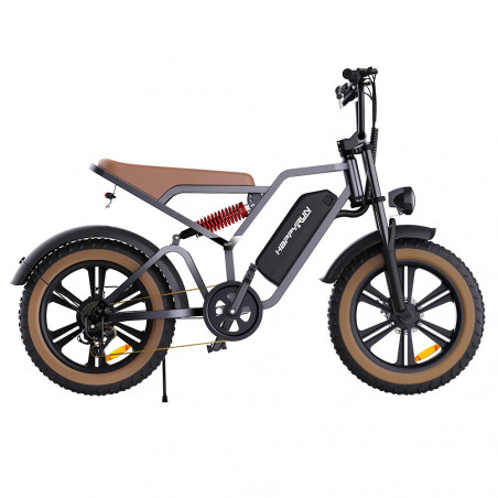 Bicicletta elettrica HAPPYRUN G60 20 pollici 48V 18Ah 750W velocità 50 km/h