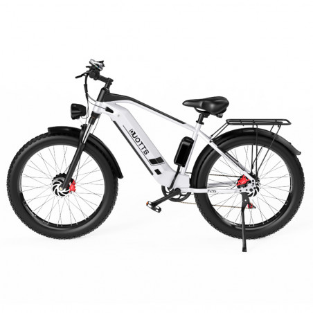 Ηλεκτρικό ποδήλατο 26 ιντσών DUOTTS F26 55Km/h 17,5 Ah 750W*2 Ασημί δύο μοτέρ