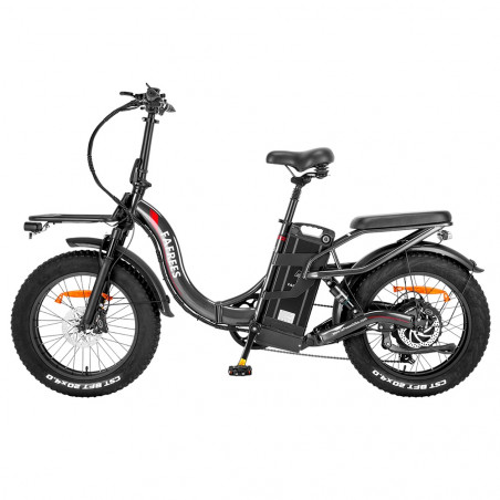 Fafrees F20 X-Max E-Bike 20 ιντσών 25km/h 48V 30Ah 750W Κινητήρας - Γκρι