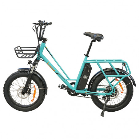 Luchia TAURO elektrische fiets 20 inch 36V 10AH 25 km/u snelheid 250W motor