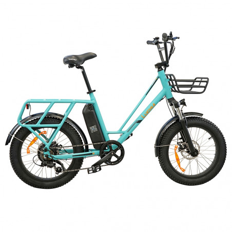 Luchia TAURO elektrische fiets 20 inch 36V 10AH 25 km/u snelheid 250W motor