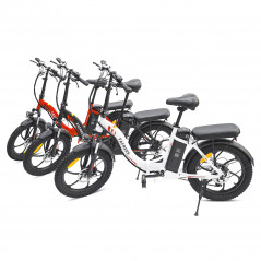 Bicicleta eléctrica FA FREES F20 Bicicleta eléctrica con cuadro plegable de 20 pulgadas - Negro