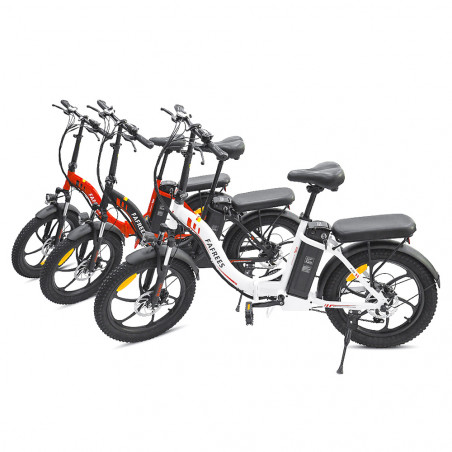 Bici elettrica FAFREES F20 con telaio pieghevole da 20 pollici E-bike - Nera