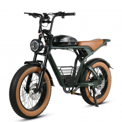 Bicicleta eléctrica SAMEBIKE M20 Green 1000W-1200W EN CRETA