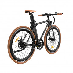 Vélo Electrique 250W FAFREES F1-38 Noir