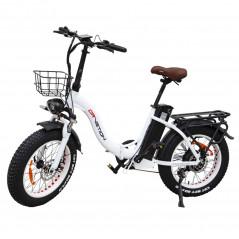 DRVETION CT20 Elektrische fiets 20 inch 48V 750W Motor 10Ah 45km/u Snelheid