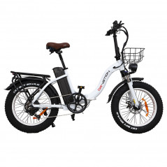 DRVETION CT20 Elektrische fiets 20 inch 48V 750W Motor 10Ah 45km/u Snelheid