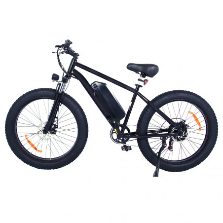 Bici elettrica OT15 500W