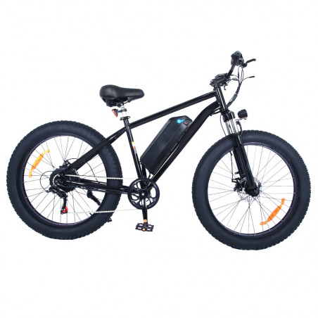 Bici elettrica OT15 500W