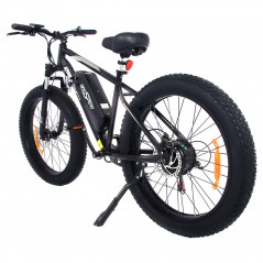 Bici elettrica ONESPORT OT15 500W
