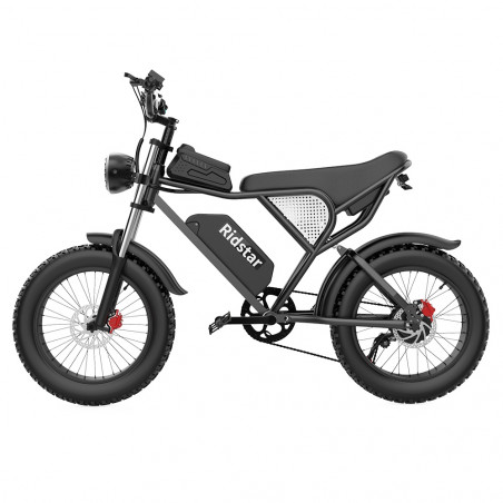 Ridstar Q20 Elektrofahrrad 20 Zoll 1000W Motor 48V 20Ah 48km/h Geschwindigkeit