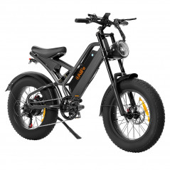 Bicicleta eléctrica AILIFE X20B 26 pulgadas 1000W Motor 48V 15Ah 48km/h Velocidad