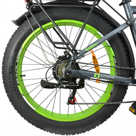 BAOLUJIE DP2619 Elektrofahrrad 48V 750W Motor 13Ah 45km/h Geschwindigkeit - Grau