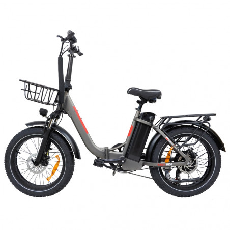 BAOLUJIE DZ2030 Bici elettrica Motore 500 W 48 V 13 Ah Velocità 40 km / h - Grigio