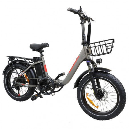 BAOLUJIE DZ2030 Bici elettrica Motore 500 W 48 V 13 Ah Velocità 40 km / h - Grigio