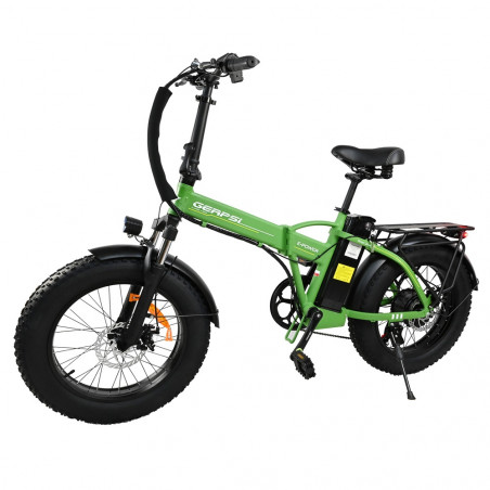 BAOLUJIE DZ2001 Bici elettrica Motore 750 W 48 V 12 Ah Velocità 45 km / h - Verde