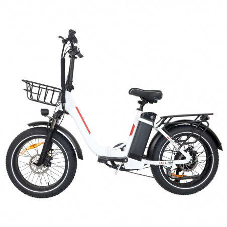 BAOLUJIE DZ2030 Bici elettrica Motore 500 W 48 V 13 Ah Velocità 40 km / h - Bianco