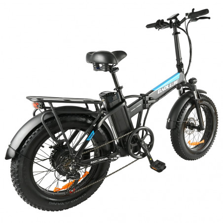 BAOLUJIE DZ2001 Bici elettrica Motore 750 W 48 V 12 Ah Velocità 45 km / h - Nero